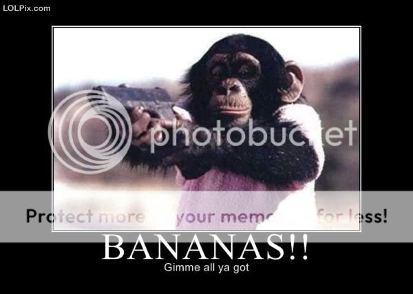Funny-Armed-Animals-Monkey-Bananas.jpg
