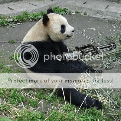 Funny-Armed-Animals-Panda.jpg