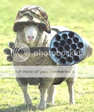 Funny-Armed-Animals-Sheep.jpg