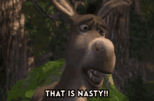 08E7BF1C-22F9-458D-9A2F-8202C6961871.gif