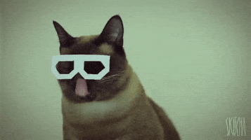 1645478837123.gif