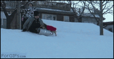 200.gif