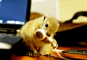 200.gif