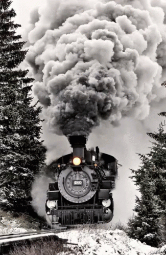4C4FC944-909F-4670-A778-781D27B25475.gif
