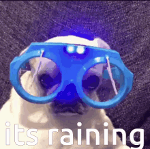 68BA4CE6-15E8-4E42-9726-8F648790734C.gif