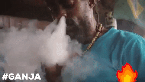 802A55F2-B1BA-48FB-AFF1-F7846082B11C.gif