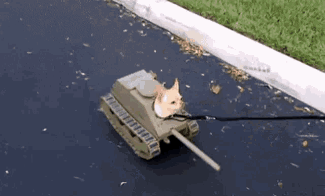 88CFE01E-CAC8-4108-9896-47DCA4B7FDDA.gif