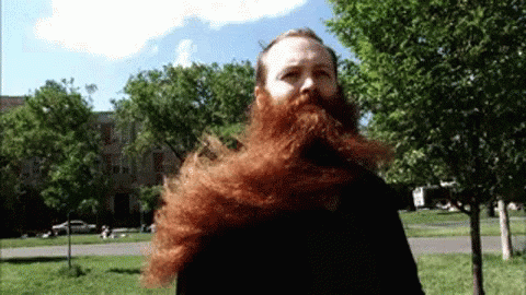 beard-alone.gif
