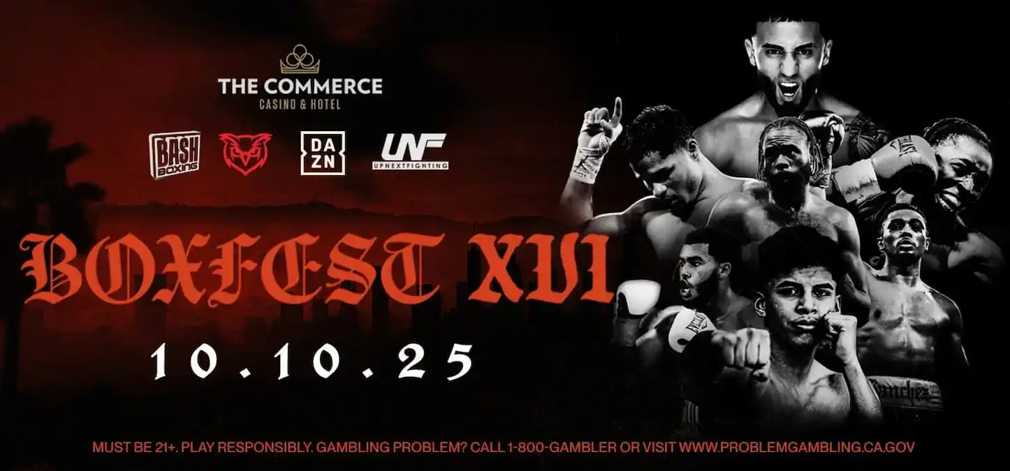 boxfest-xvi.webp