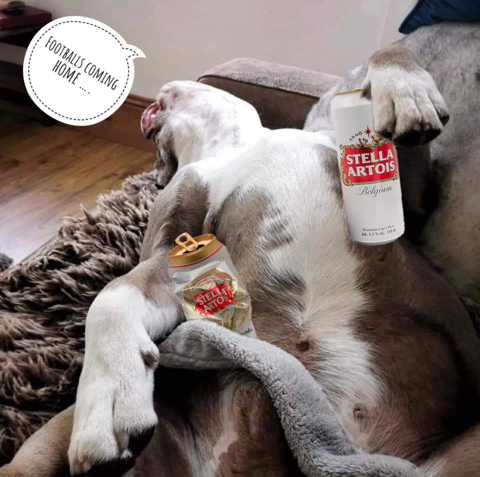 FB_IMG_1625350592233.jpg