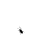 flea.gif