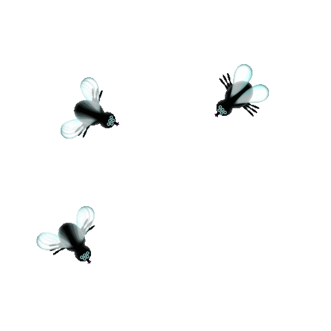 giphy.gif