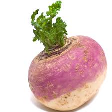 images.jpeg-12.jpg