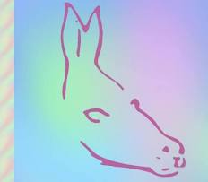images.jpeg-19.jpg