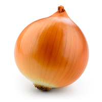 onion_noun_001_11239.jpg