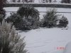 DSC05278.jpg