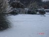 DSC05273.jpg