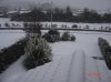 DSC05276.jpg