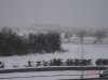 DSC05275.jpg