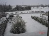 DSC05280.jpg
