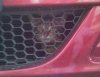 cat3.jpg