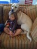 pets.jpg