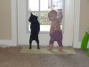 pets1.jpg