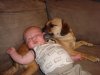 pets2.jpg
