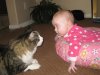 pets7.jpg