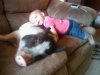 pets8.jpg