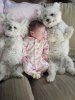pets9.jpg