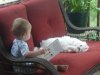 pets12.jpg