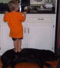 pets13.jpg