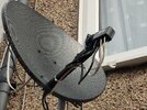 IMG20210220095330 dish.jpg