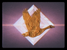 original-aac1d5512e31fa68431399ea61b9bbaf.gif