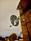 IMG_3204.JPEG
