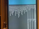 IMG_4447.jpeg