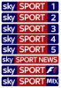 sportnew.jpg