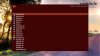 silent whitness 3.jpg