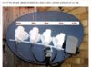 sky dish.jpg