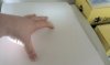 IMAG0012.jpg