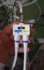 20171220_060105.jpg