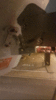 back of dish and motor.gif