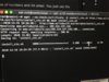 file-3.jpeg
