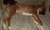 rps20181217_112305.jpg