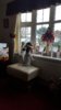 IMG-20190103-WA0000.jpg