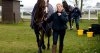 KautoStar_2731102.jpg