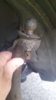 IMG-20190120-WA0000.jpg