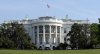 white house.jpg