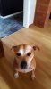 IMG-20190512-WA0000.jpg